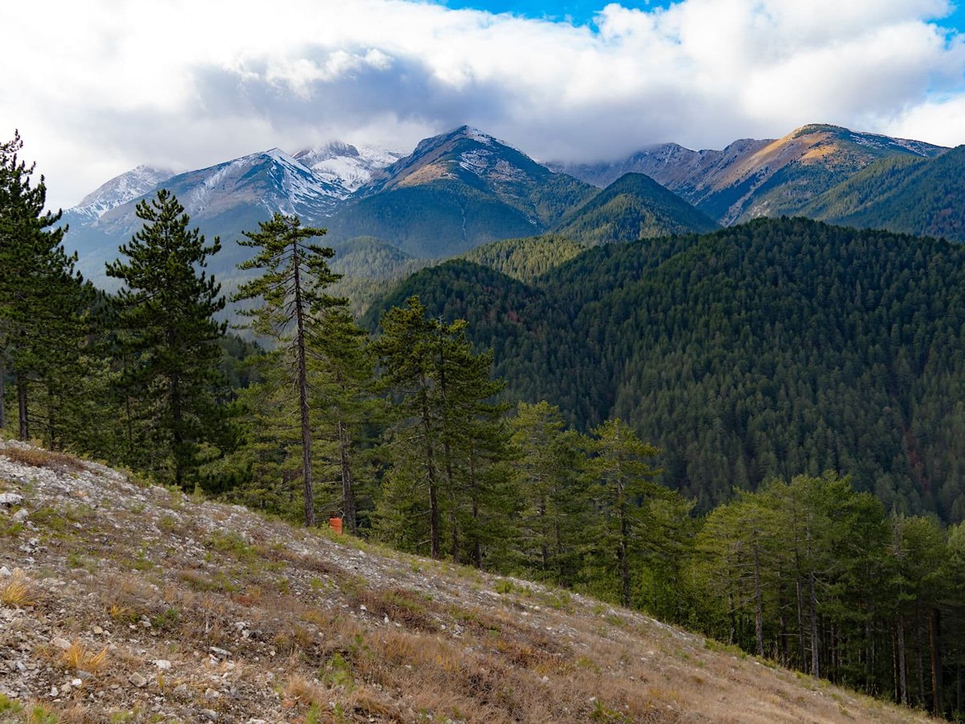 Coliving Bansko — photo 14