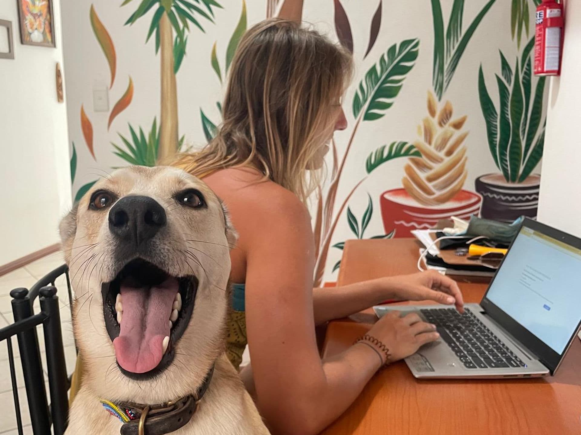 Coliving Cape Town — photo 11