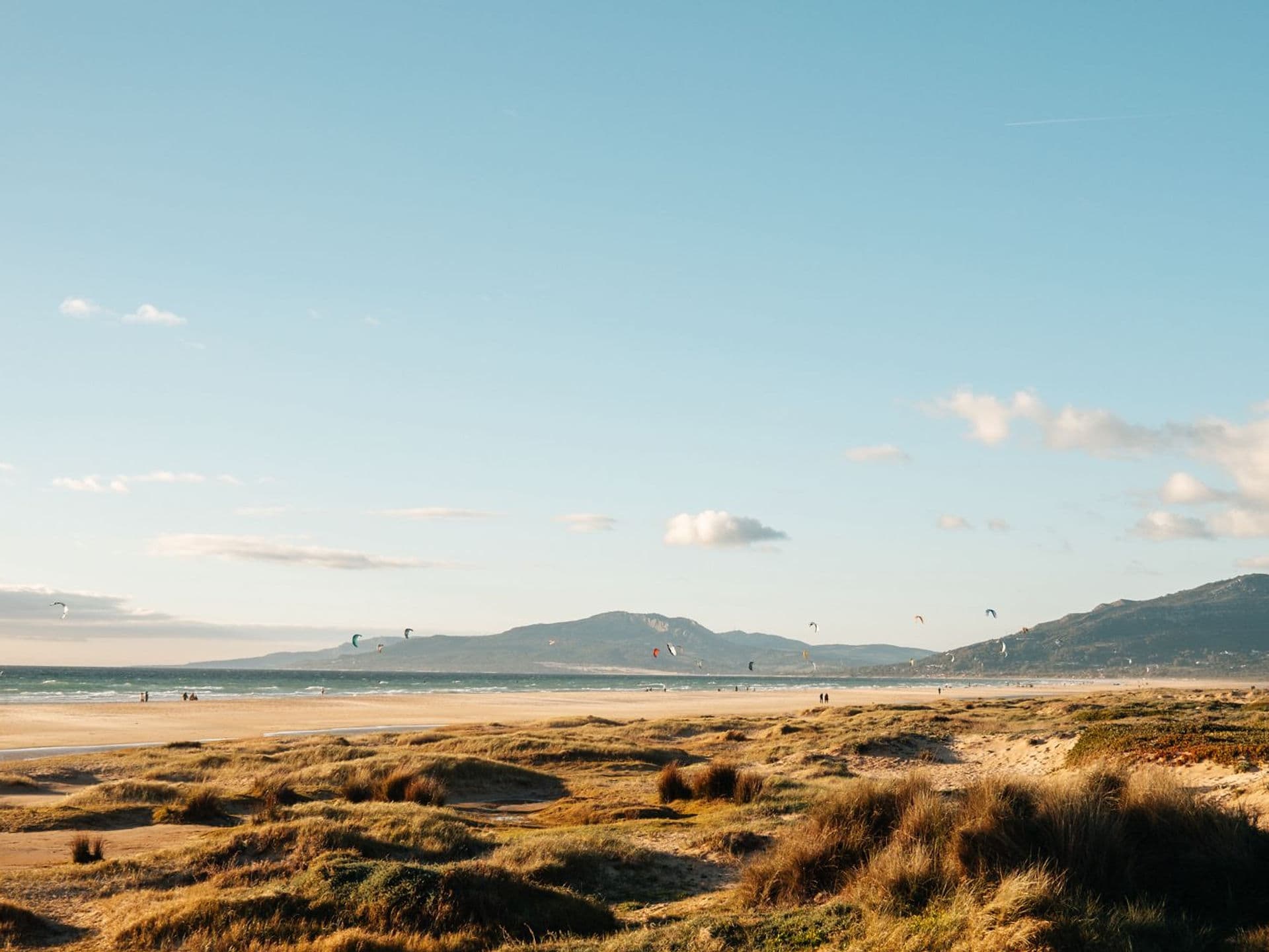 Coliving Tarifa — Tarifa base