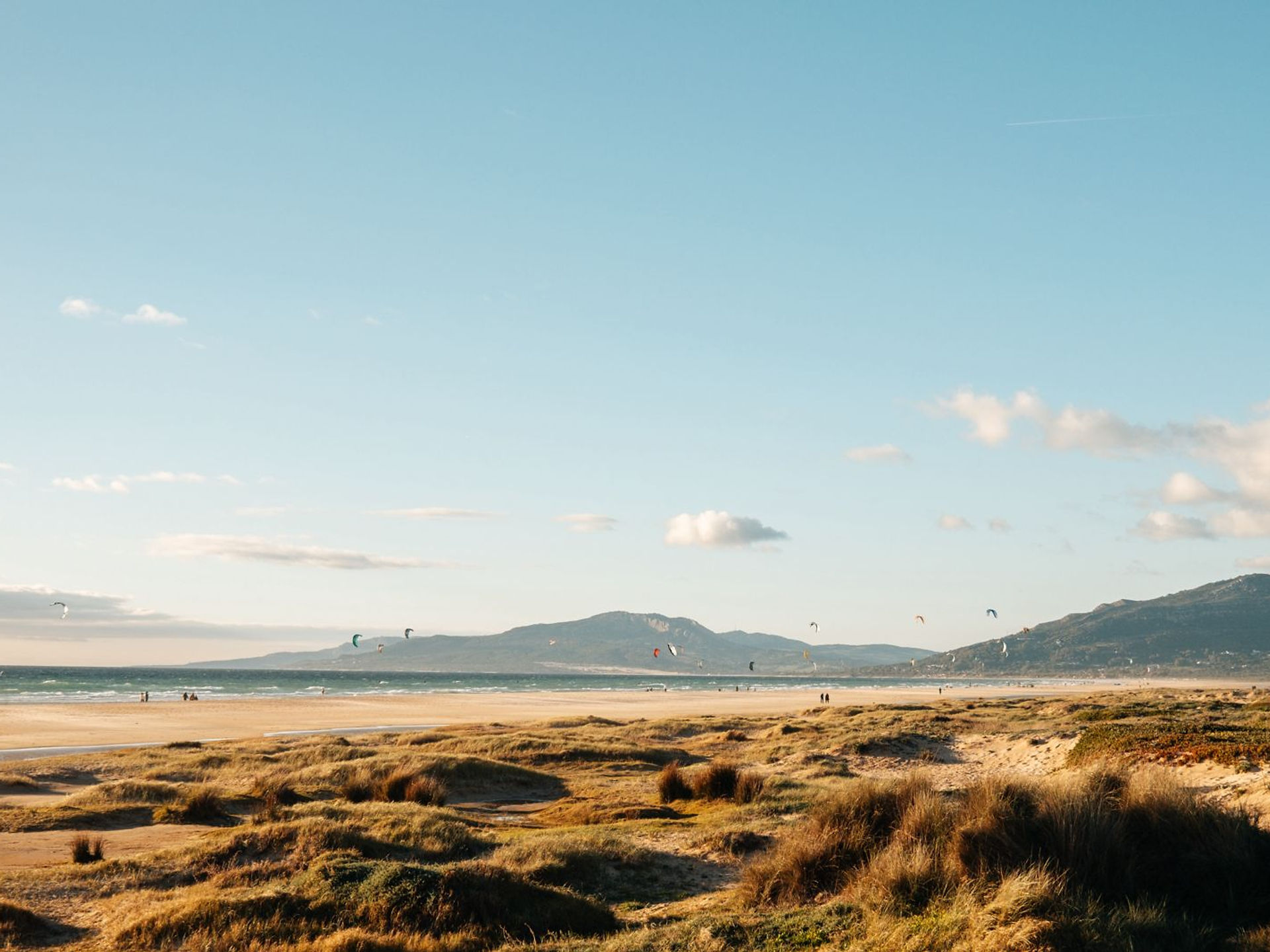 Coliving Tarifa — Tarifa base